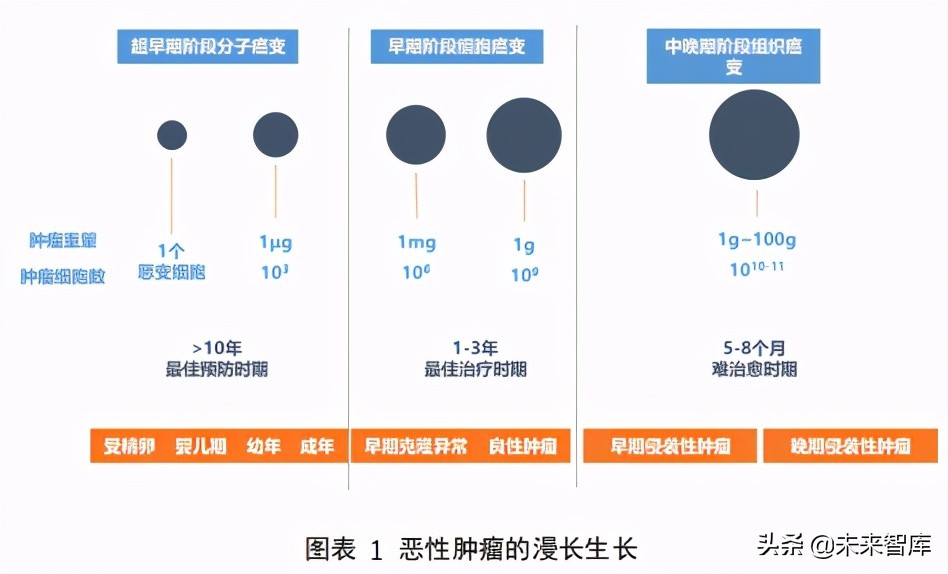2021肿瘤早筛行业报告：巨头初现，产品升级