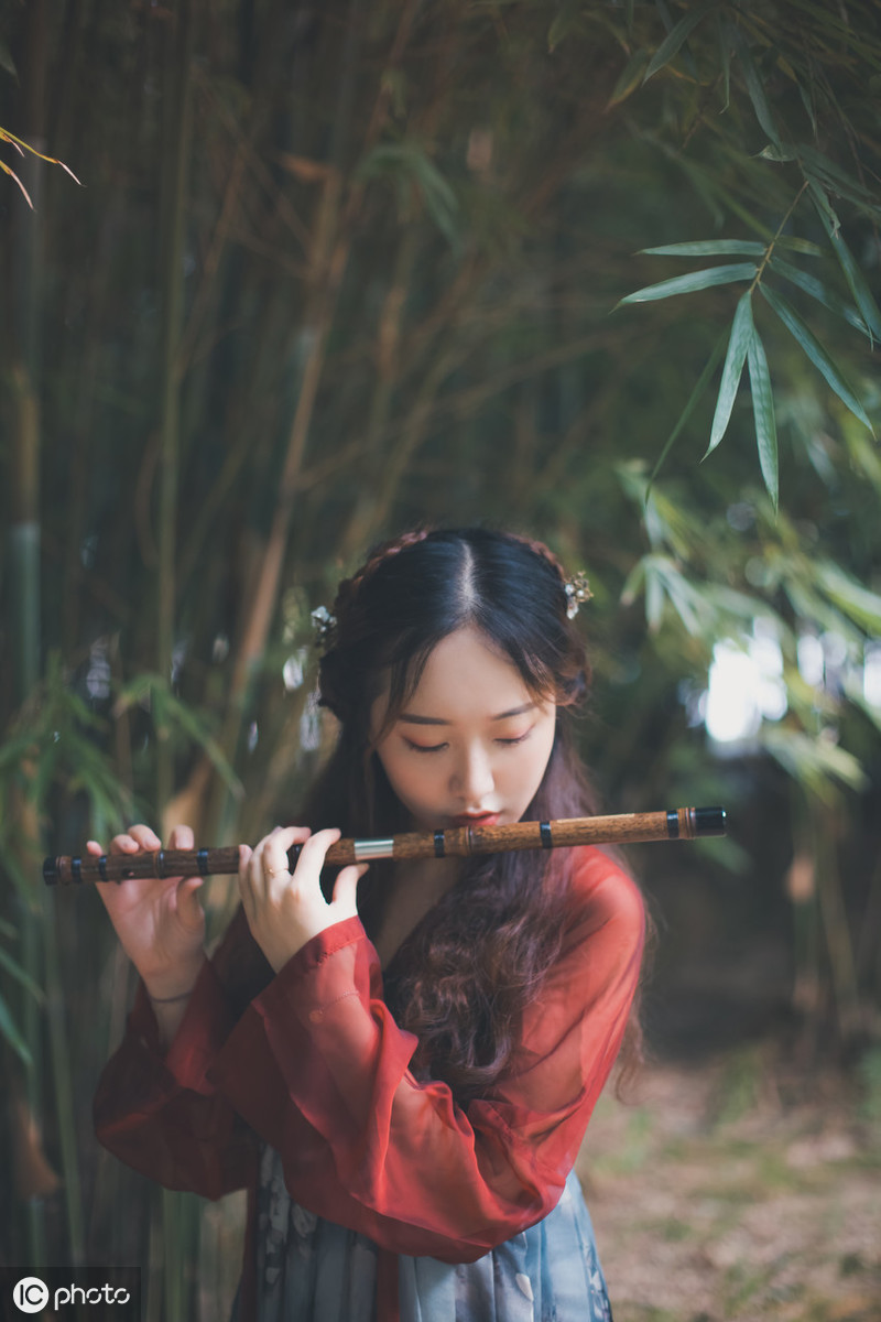 赞颂竹子的唯美诗句：新竹高于旧竹枝，全凭老干为扶持图片