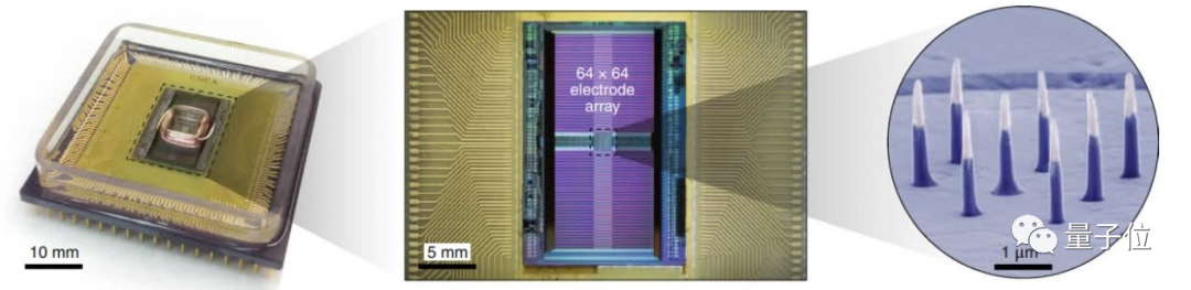 类脑芯片怎么搞？三星&哈佛：直接复制粘贴神经元 | Nature子刊