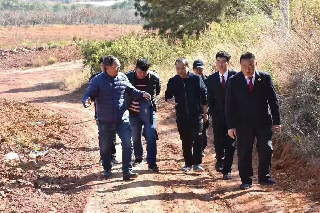 永仁:打好组合拳守护公平正义