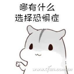 IPS面板新花样 Nano与Fast IPS显示器该选哪个