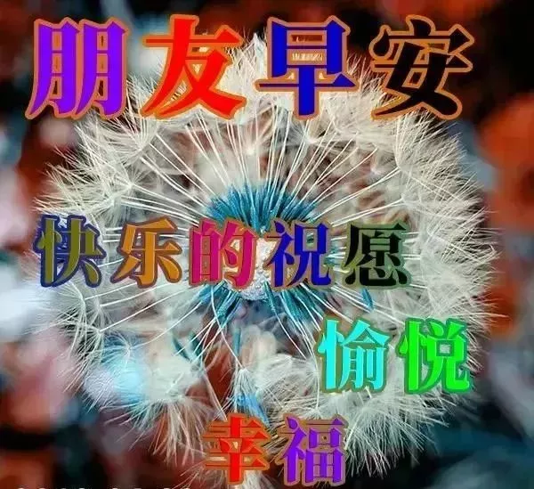 微信早晨好图片动画大全 早上好问候语阳光句子图片