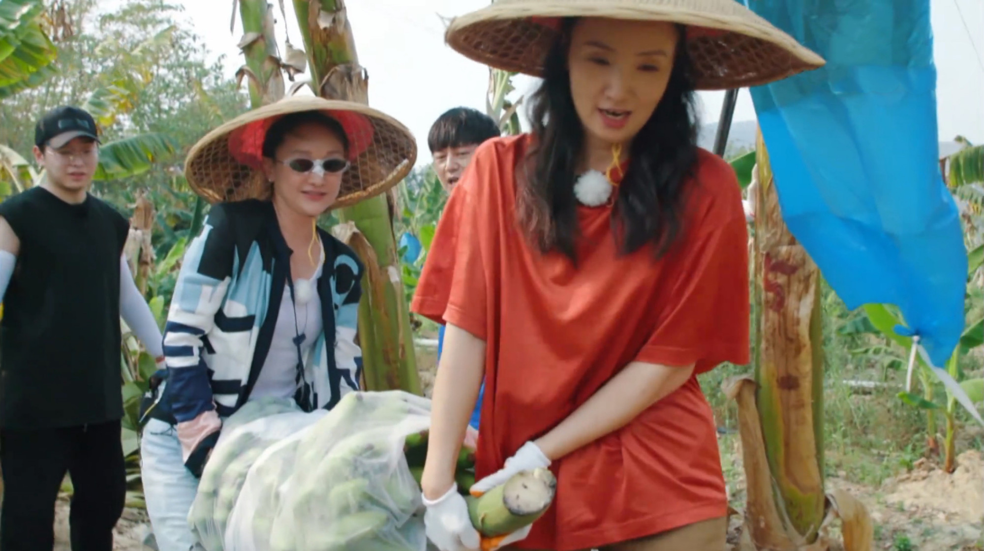 农活一趟又一趟，饭菜一顿接一顿，这四季最累的生活你向往吗？