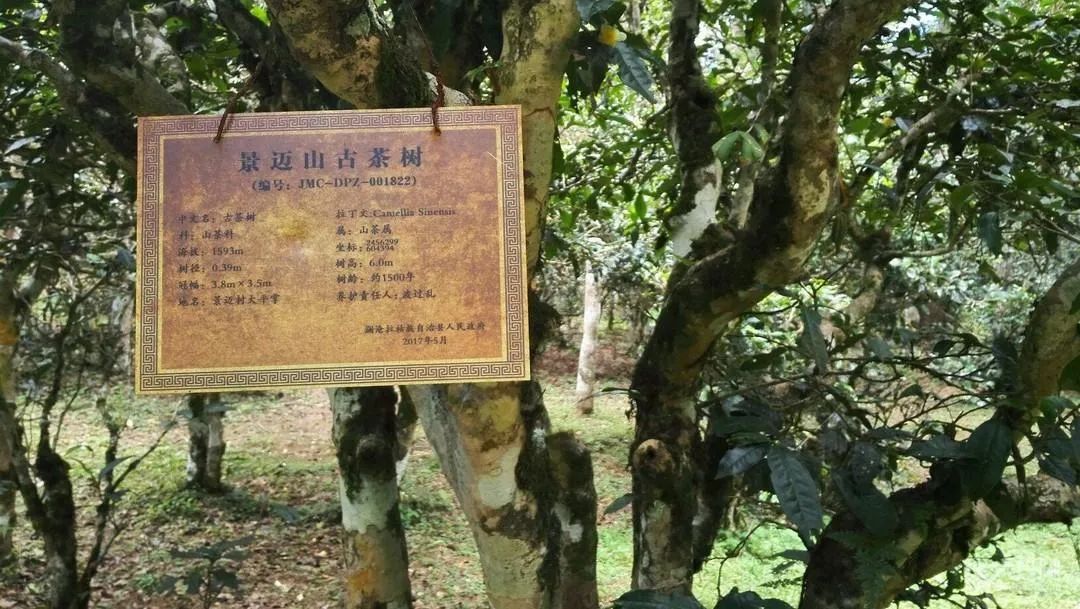 罗方友 | 慢剪忙时，平仄花开艳满枝（词十八阕）-第18张图片-非凡网