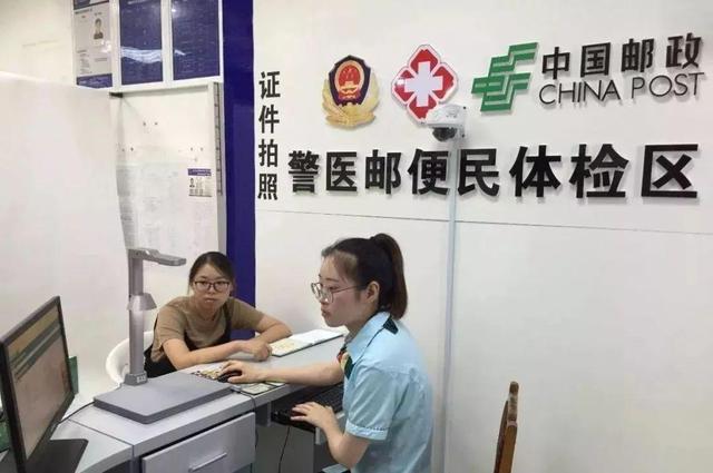 駕照檔案編號網上怎么查，怎么看