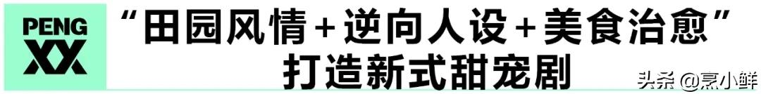 专访《亲爱的农夫先生》王端:持“田园”利刃,战分账剧赛道