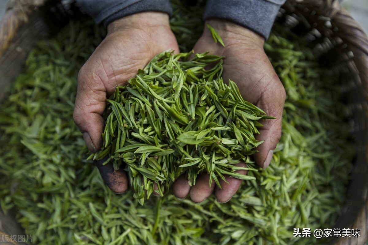 中国五大名茶是哪些？你喝过哪几种？没想到茶叶之间也要分个高低