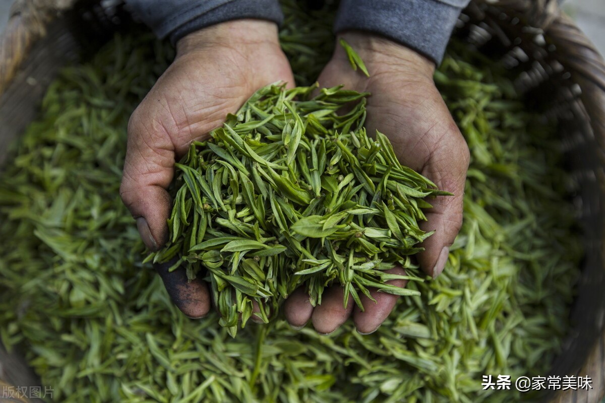 中國五大名茶是哪些？你喝過哪幾種？沒想到茶葉之間也要分個高低