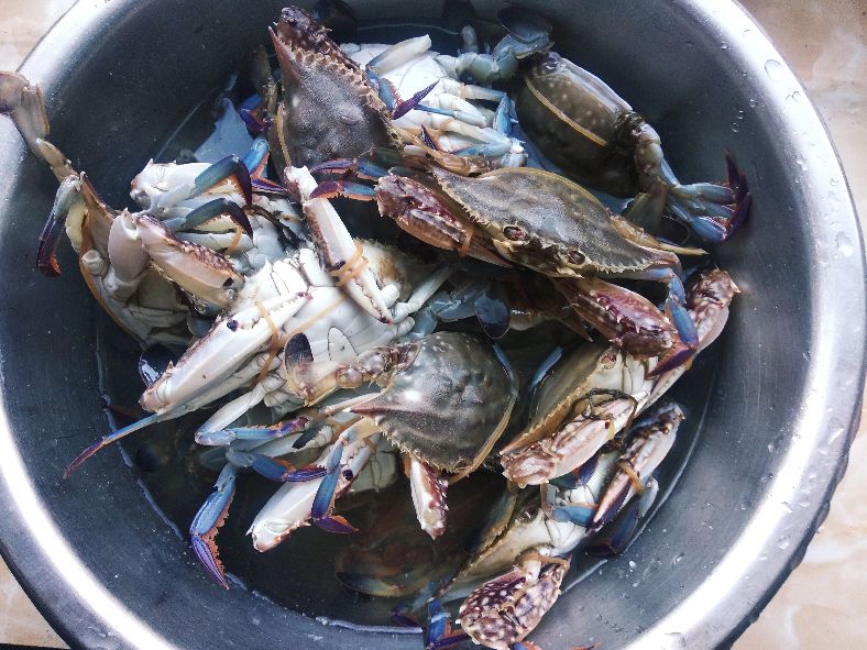 立秋来临，市场上5种食材，别贪便宜买来吃，宁可少吃或干脆不吃