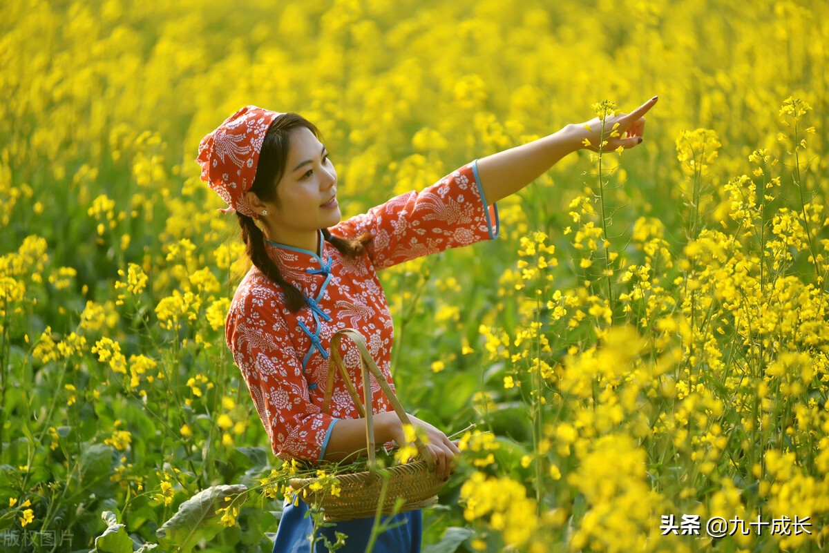 写作黄金成长路线，写作目的不同，路径也不同，很多人都做反了