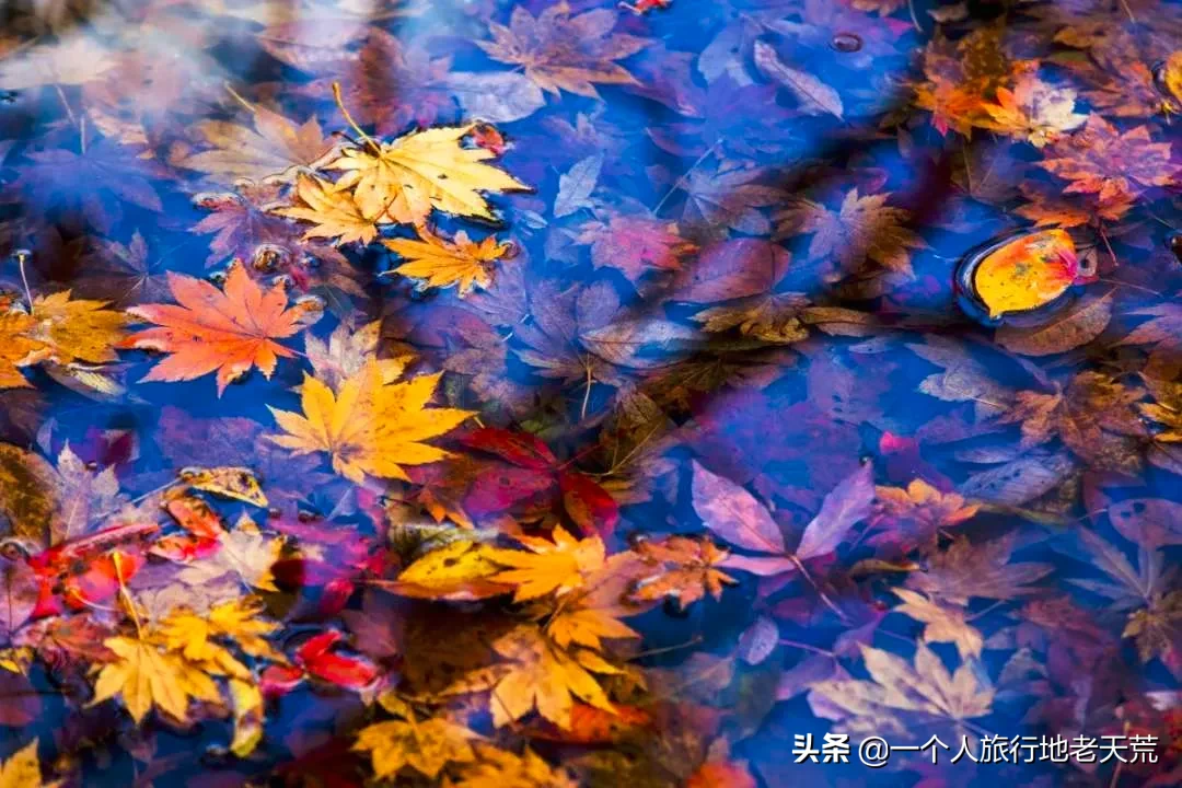 中国最大最美的边境城市，10月将迎来颜值巅峰