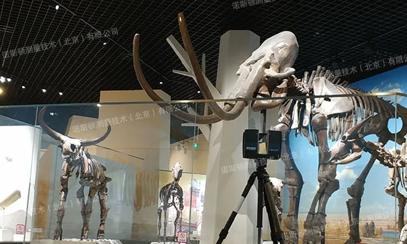 一路“象”北，三维扫描技术带你探索灭绝物种