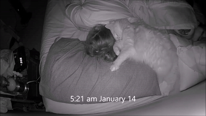 女孩睡著後被貓打了4個小時，但小貓咪可能沒什麽壞心思