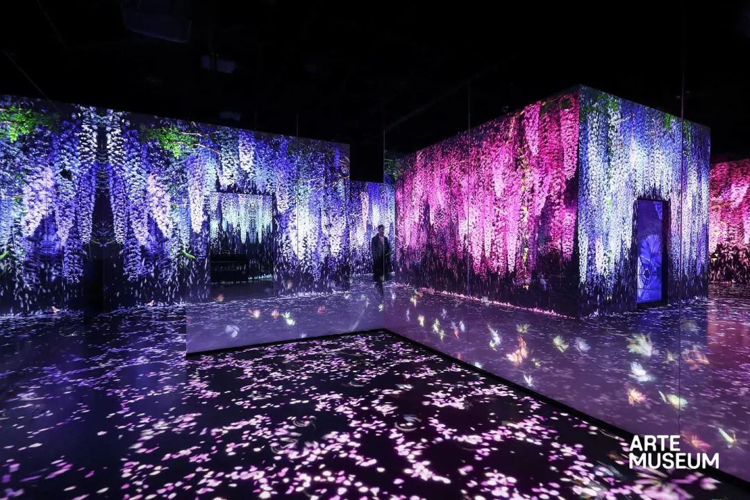 新媒体艺术沉浸式艺术展——永恒的自然