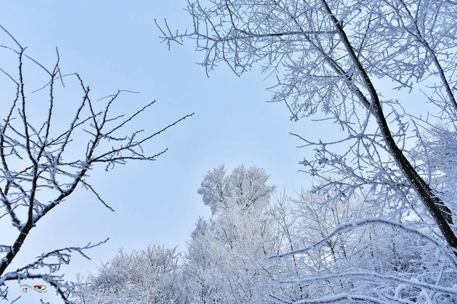 炎炎夏日，送你一组冰雪图片降降温