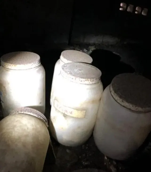 阴暗地下室里的罐子，装满了人体部位器官...