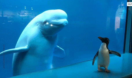 疫情未结束，另一场席卷70亿人的危机还在发生