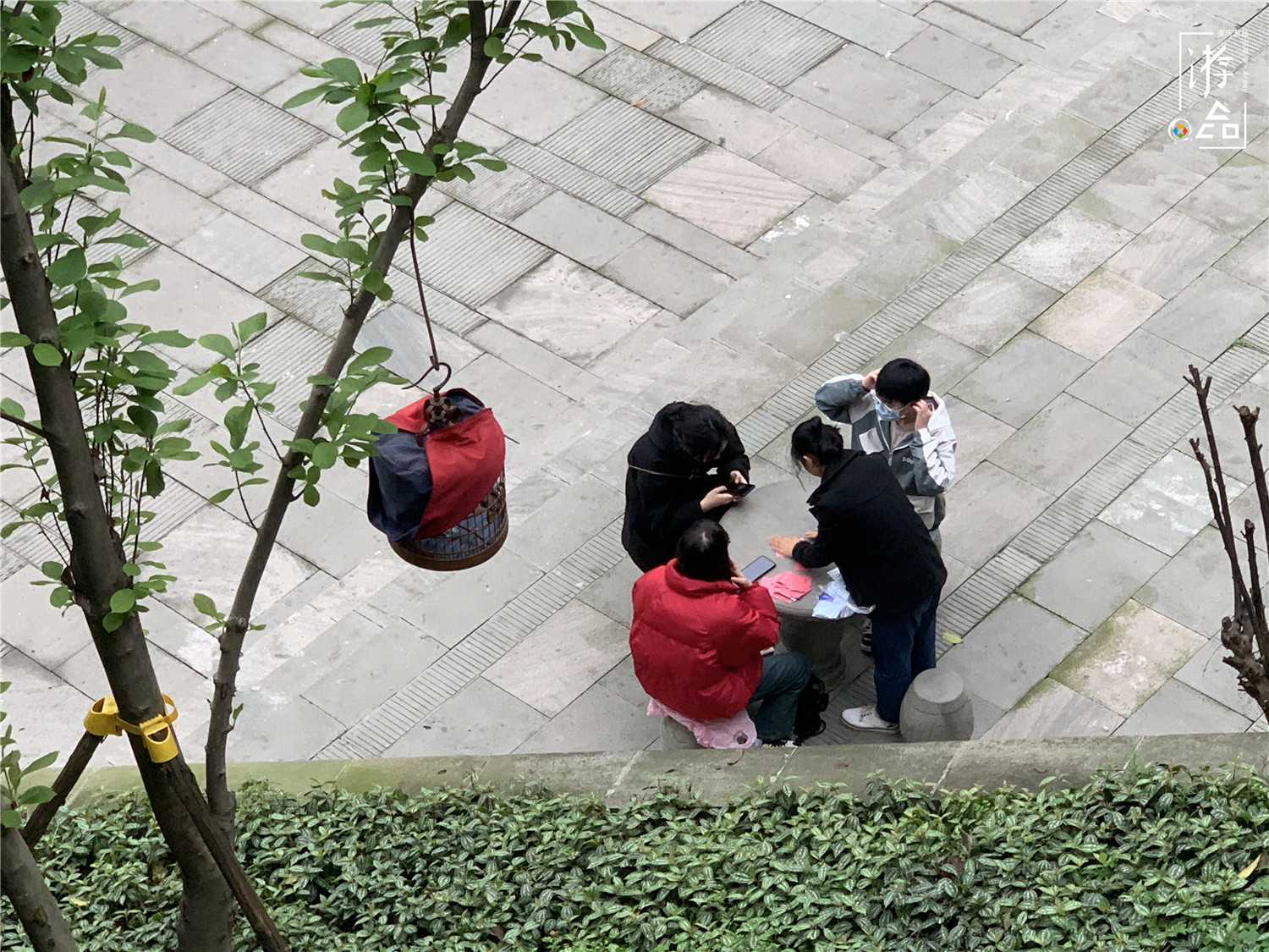 重庆爱情故事：爱吵架的人感情更深，耙耳朵值得表扬