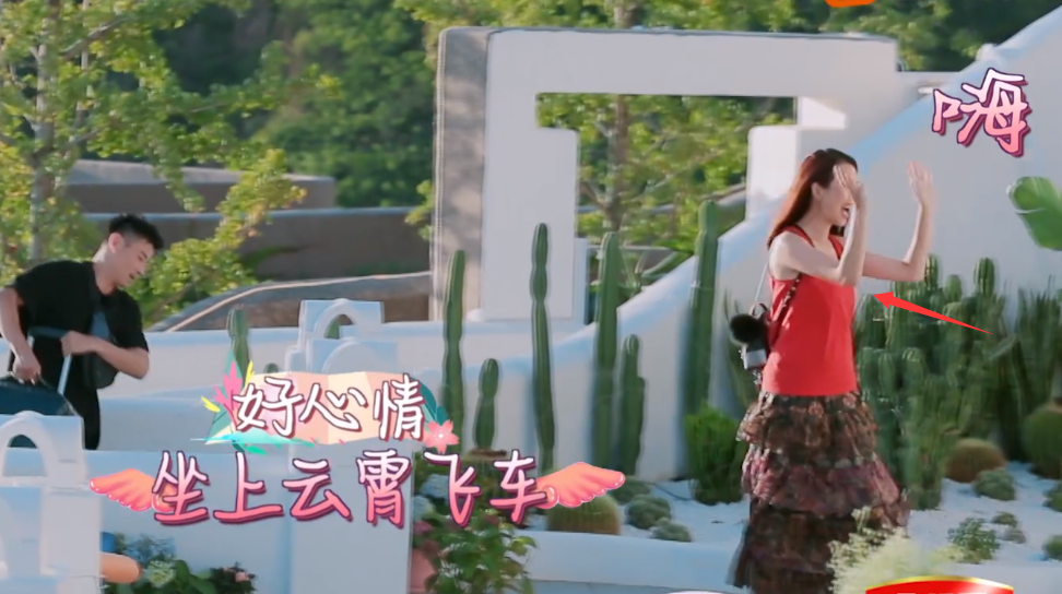 这就是艺术家修养，和蔡少芬握手时，郎朗这个动作太绅士