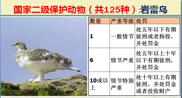 国家最新125类二级野生保护名录，图片及违法对应刑责