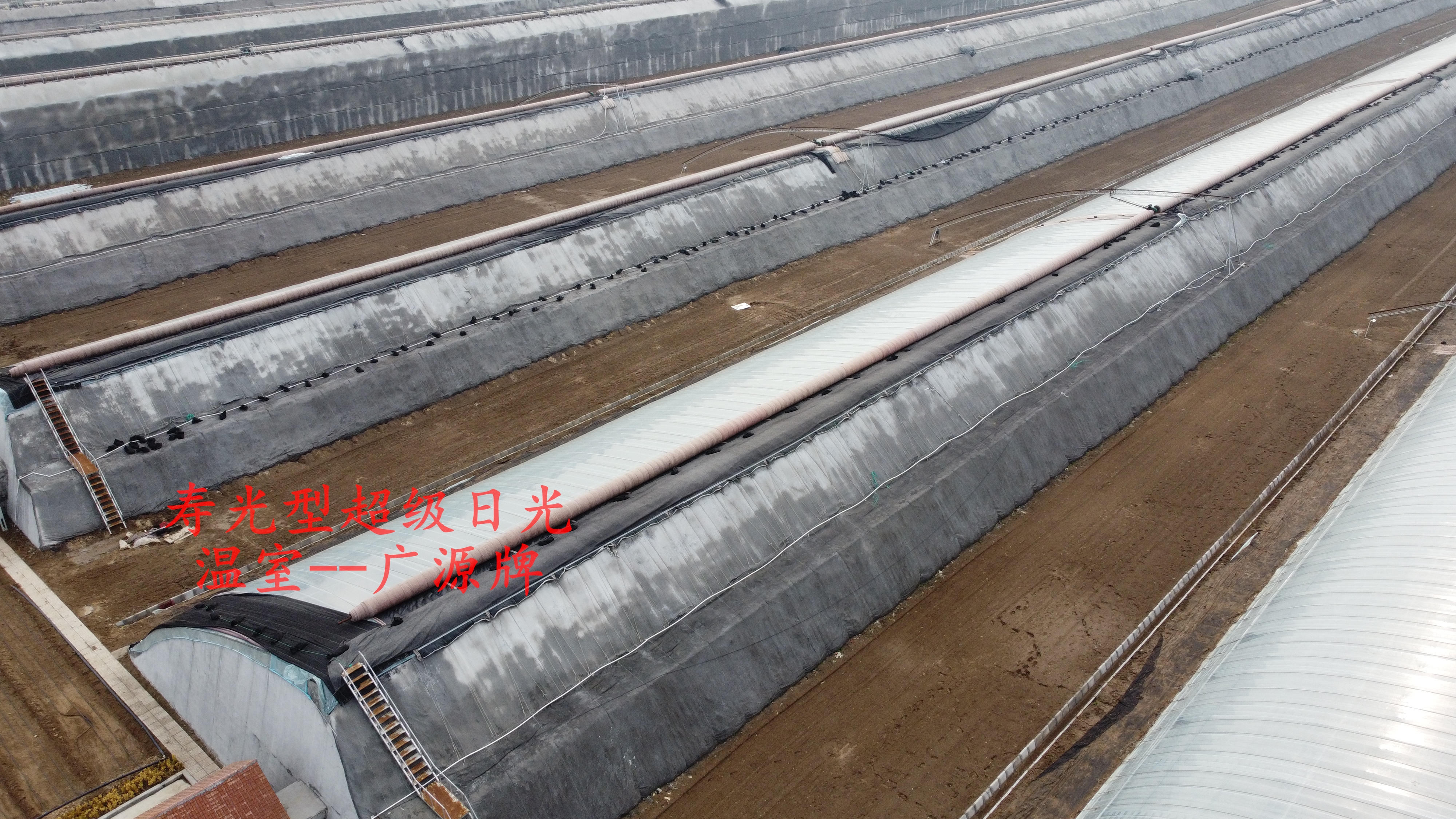 计划做现代设施农业要了解的几种温室大棚样式