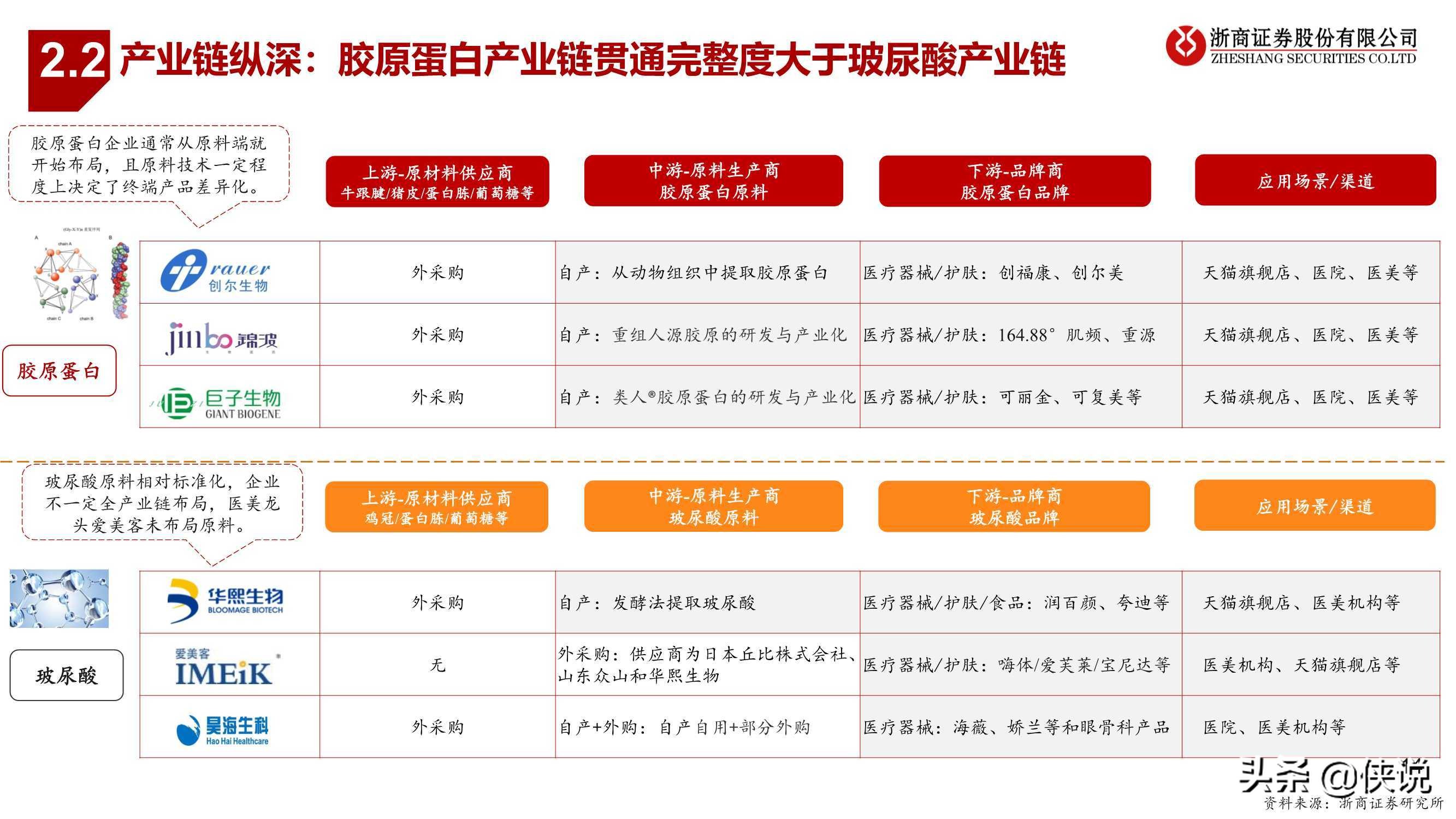 医药生物行业胶原蛋白：与玻尿酸并驾齐驱的掘金赛道（浙商证券）
