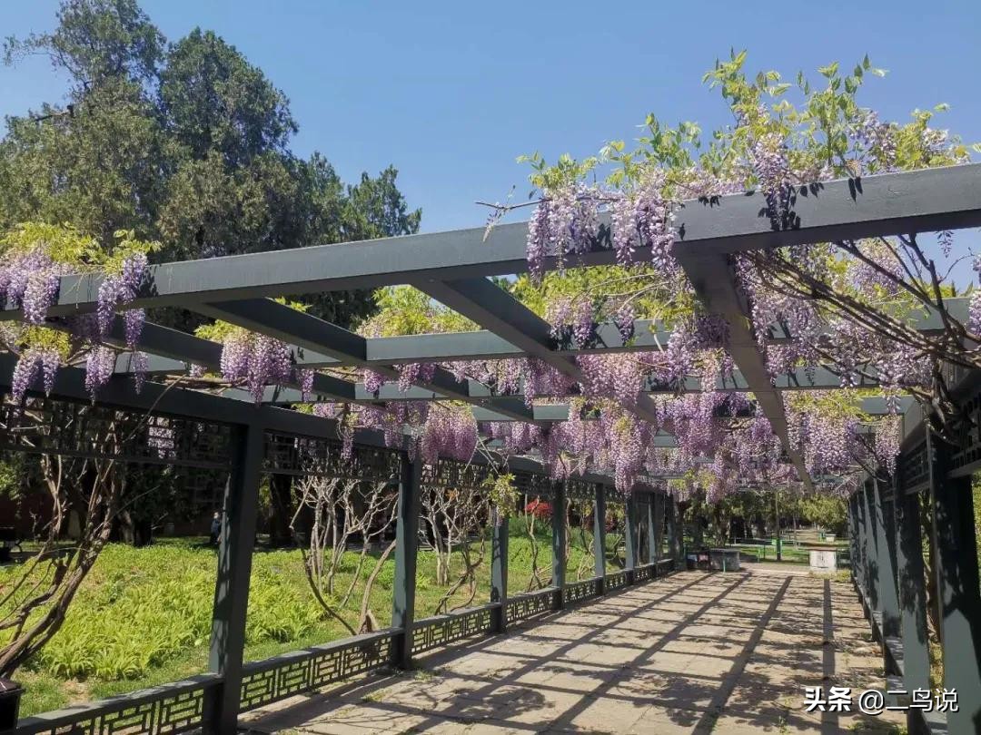 基金的最大回撤