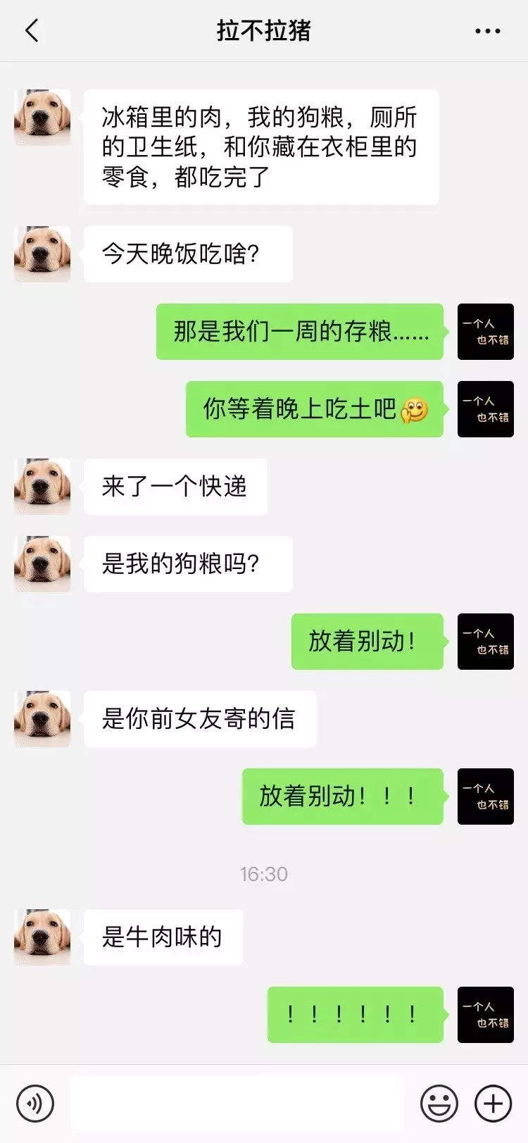 笑屎了！這些狗狗的聊天記錄，承包了我一周的笑點