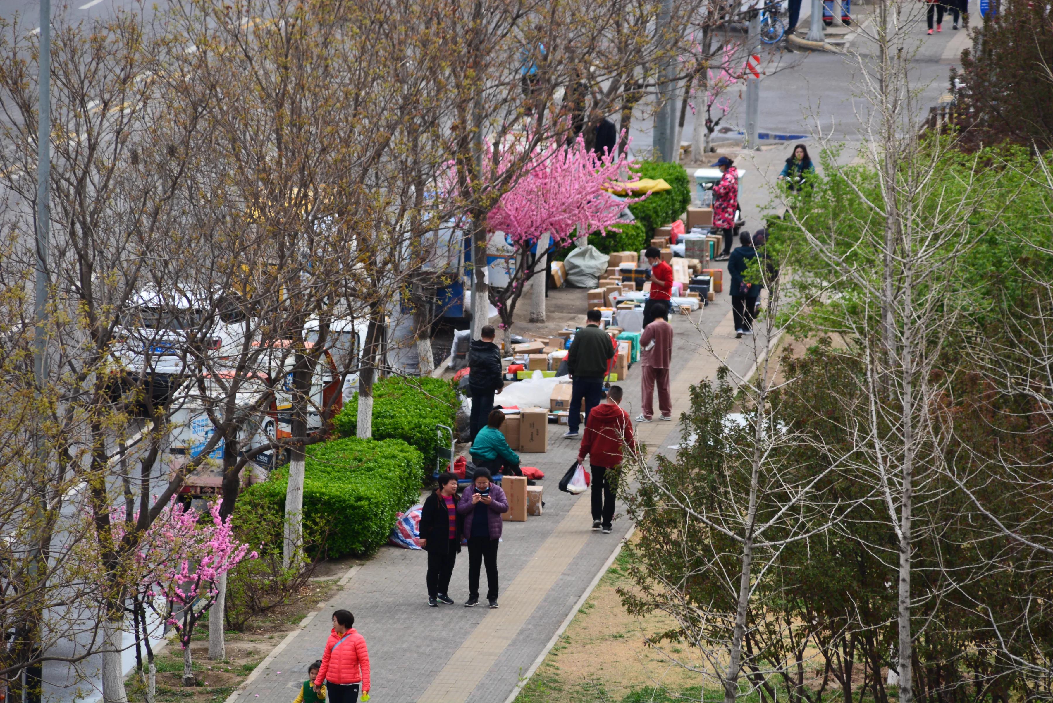 视觉世界：春天的脚步