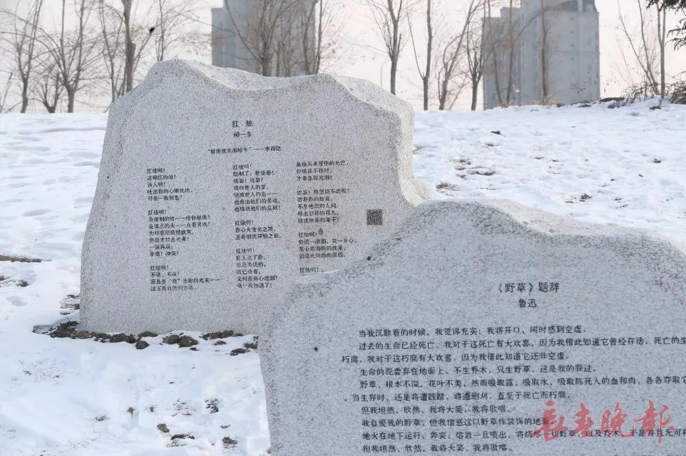 长春这里新建一公园！快看在你家附近不？