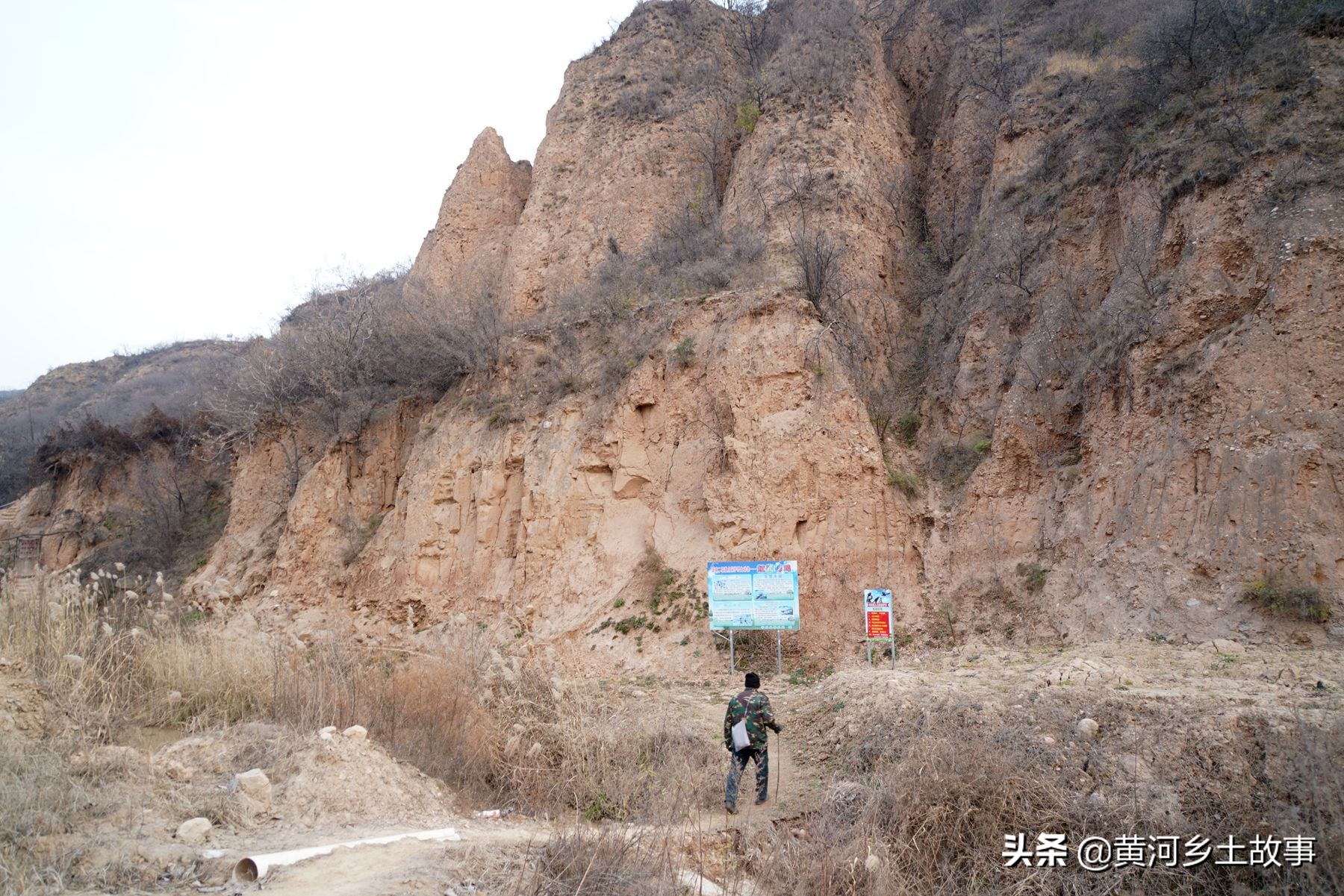 山西大山发现“凤凰”，6旬农民大叔守护6年，看鸟儿活成啥样