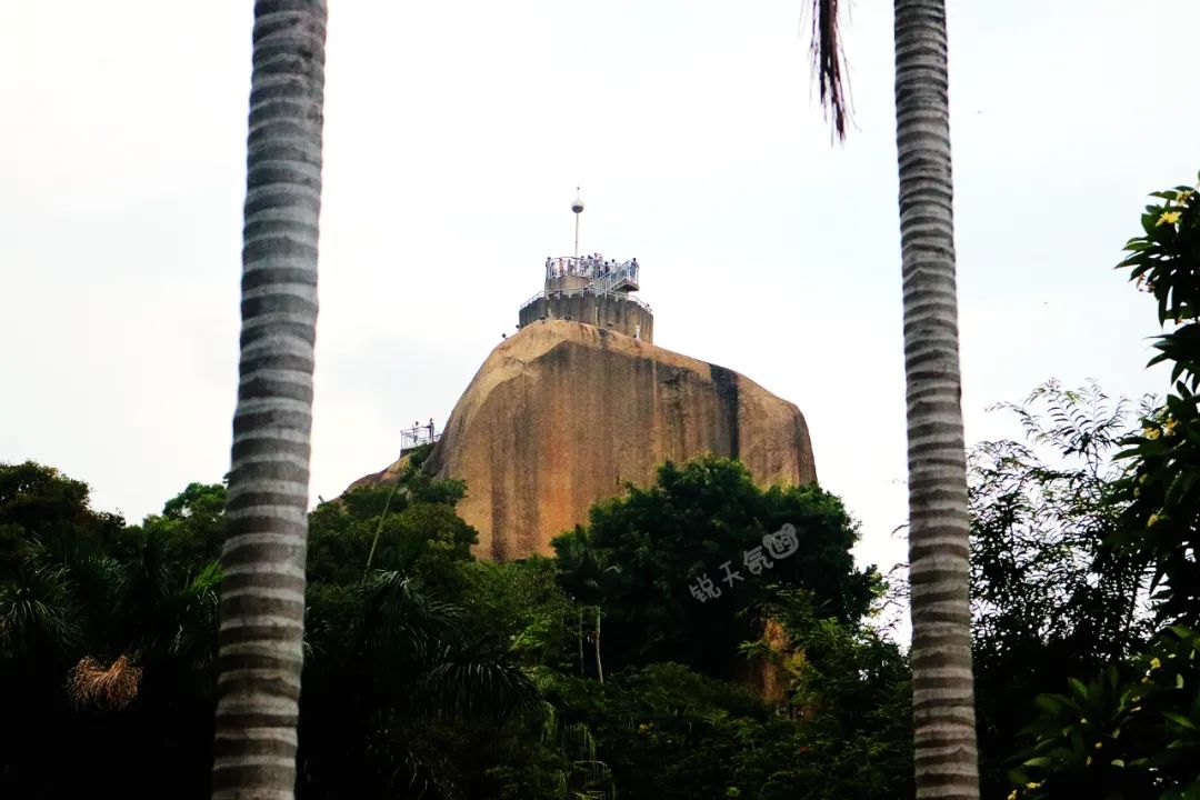 抓住暑假的尾巴，到鼓浪屿百年老别墅，享受到的不止是浪漫下午茶