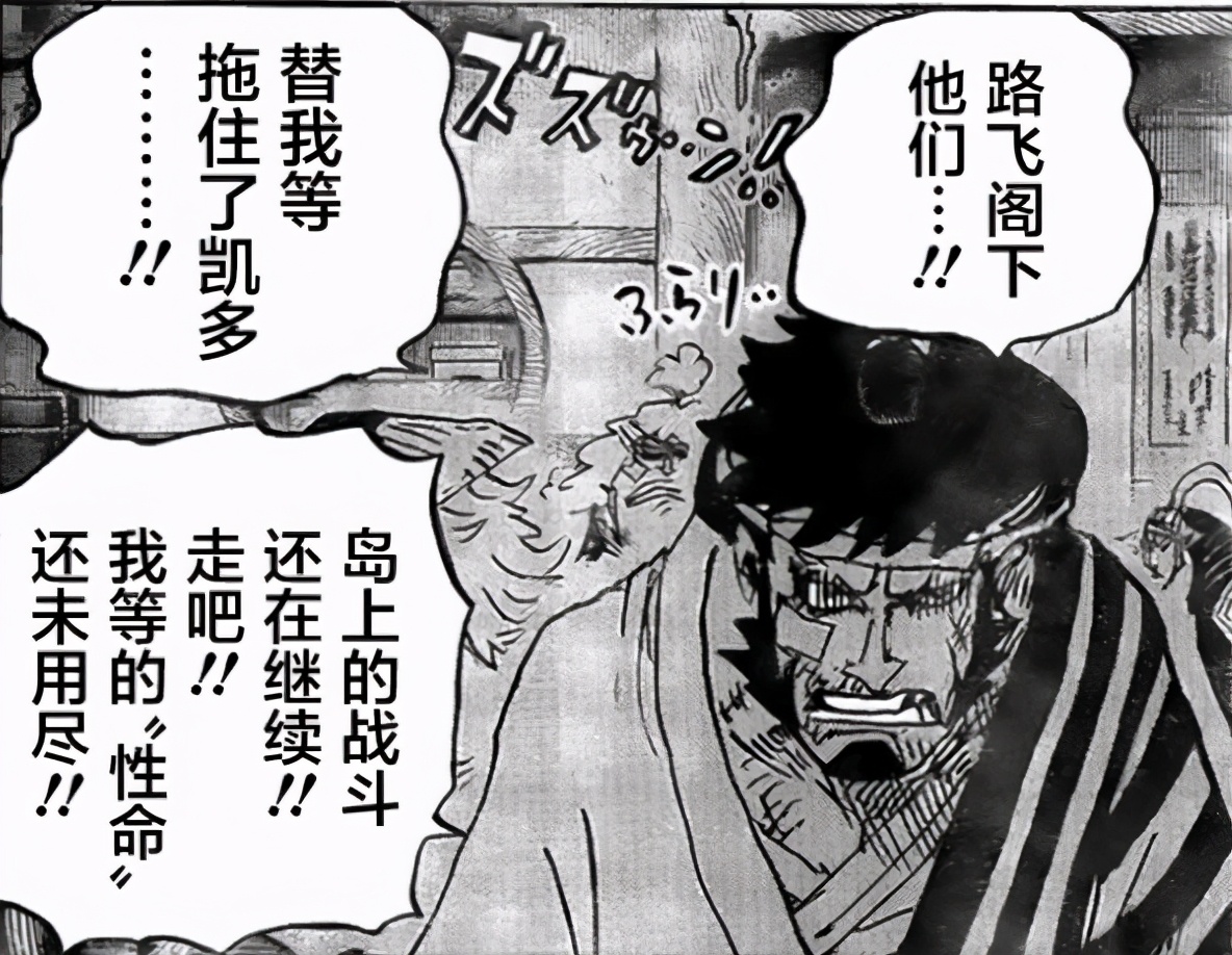 海賊王：赤鞘九俠再次申請出戰，小菊的位置會被勘十郎頂替嗎？