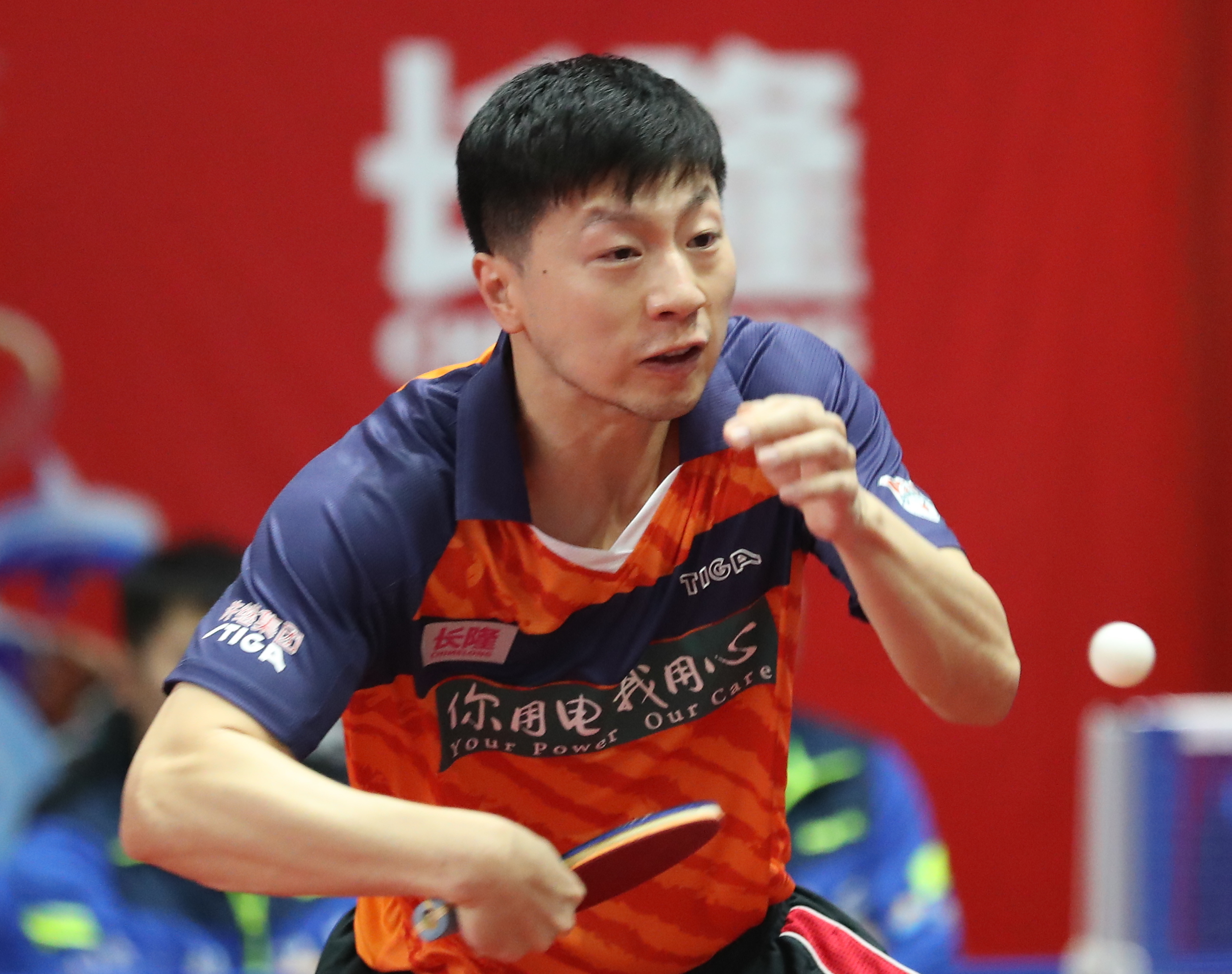 10战全胜！王楚钦3-0横扫爆冷马龙之人，山东鲁能豪夺5连胜