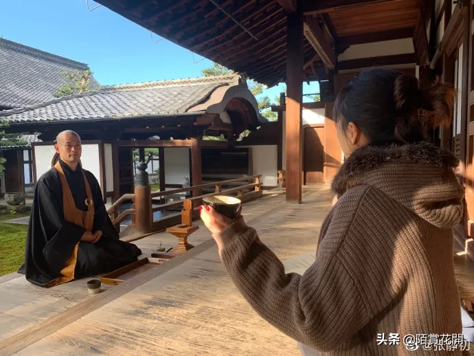 这个时代成年人想要的快乐有多难？致敬每一个
