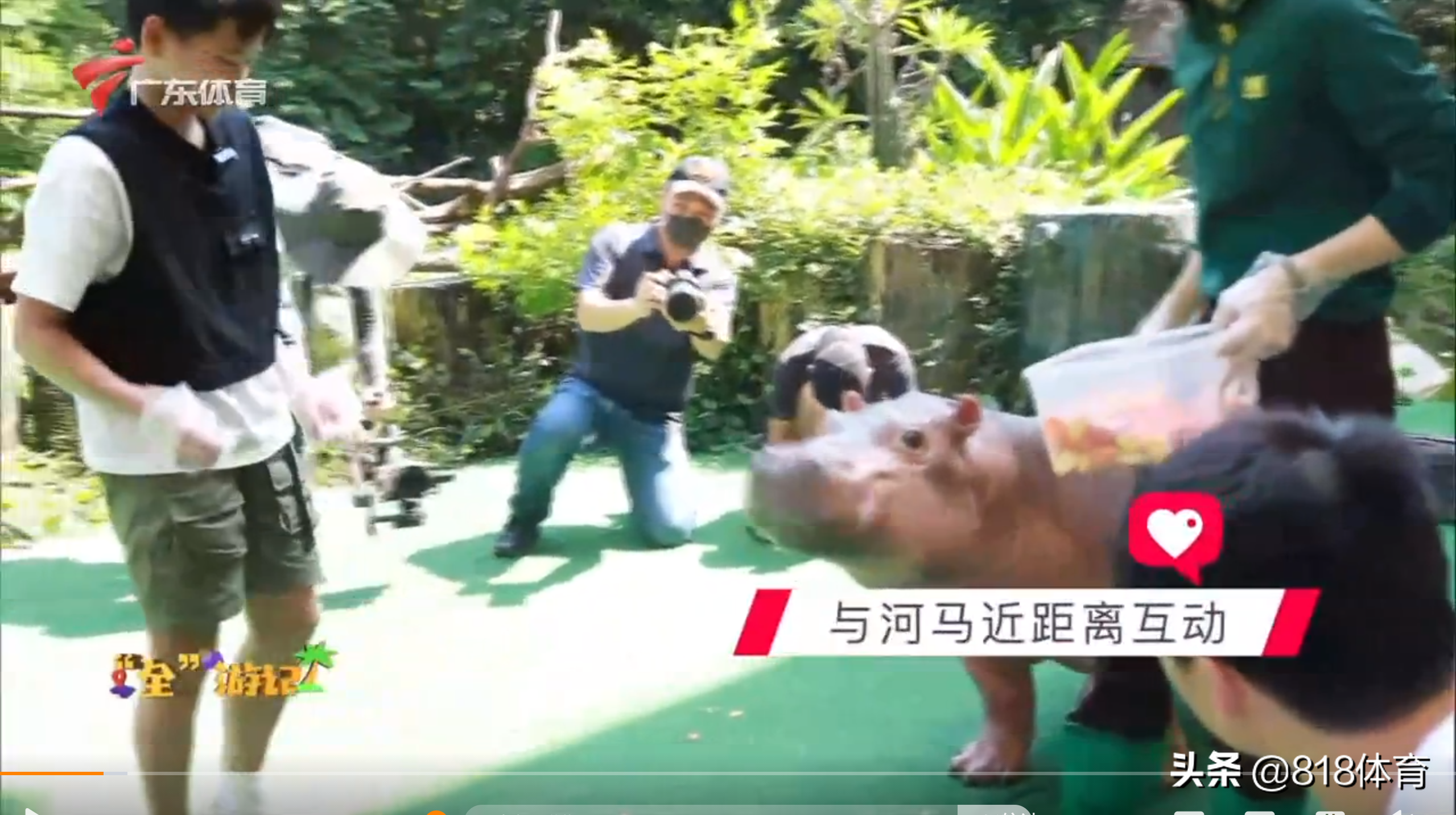 笑喷！全红婵喂大河马吃胡萝卜吓得一抖，给小河马洗澡搓泡泡萌翻