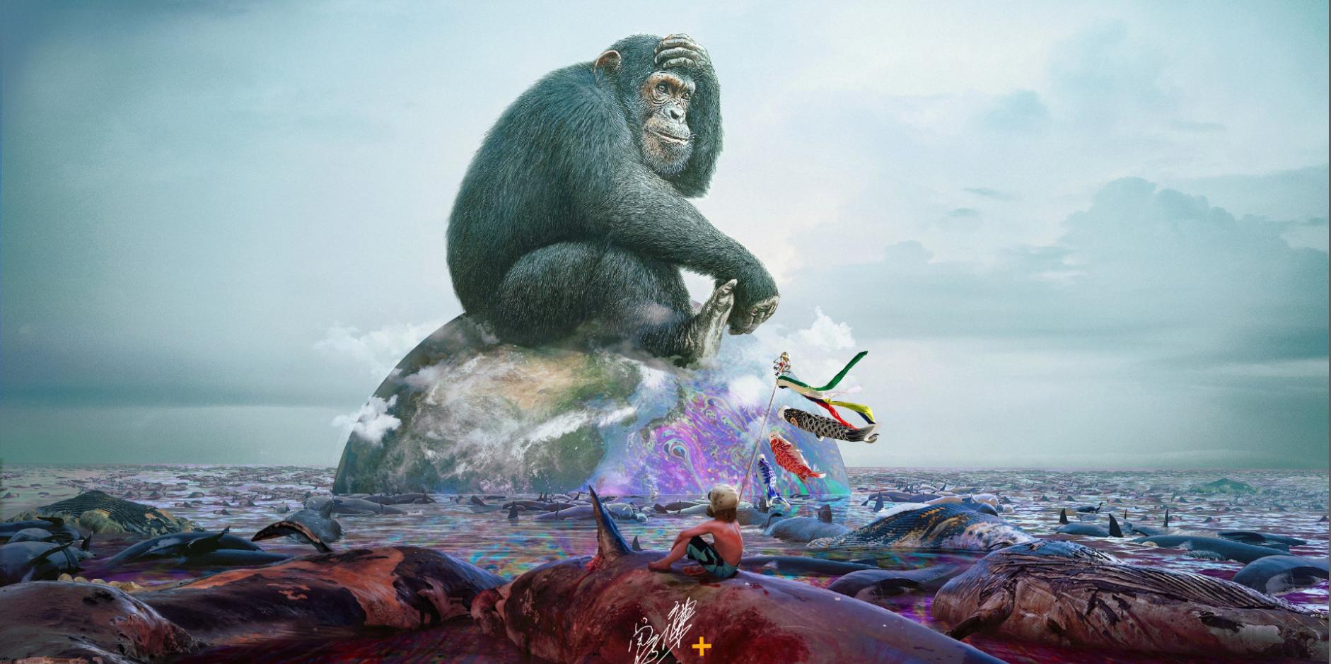 从乌合麒麟新作 岛 中 看清一个民族的真实面目 资讯咖