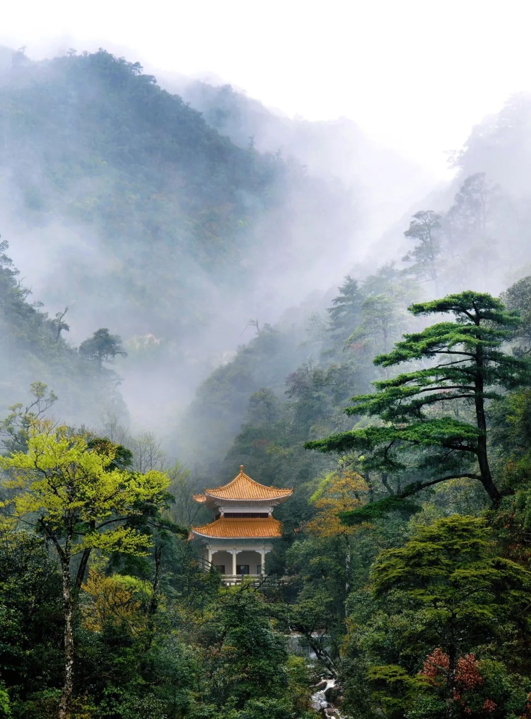 为什么广东韶关没有&ldquo;广东腔&rdquo;？