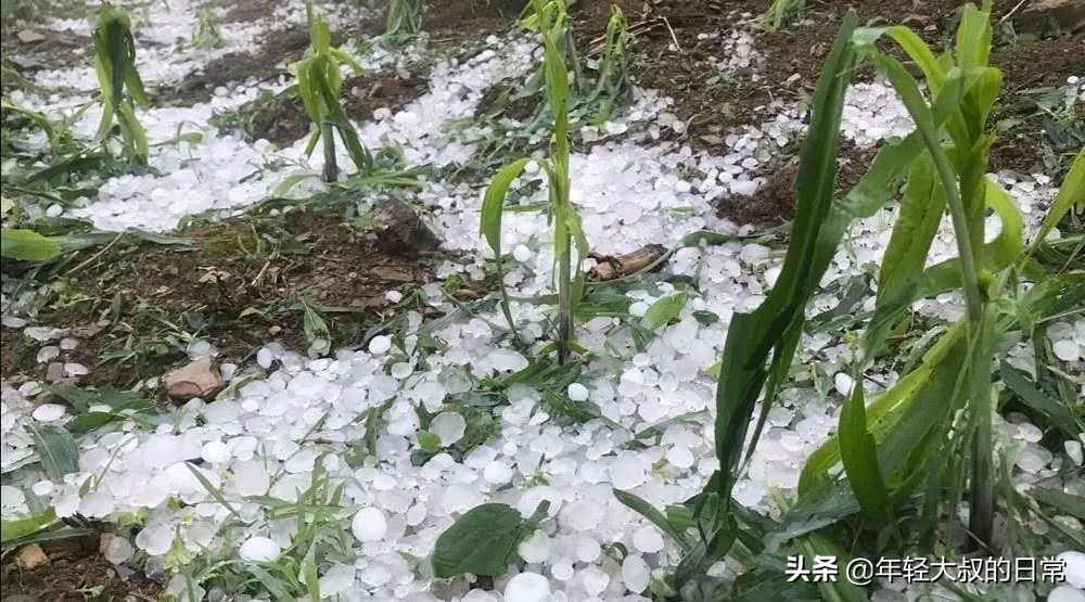 8级罕见大风，赤峰二中被吹成一中 ，预示着20