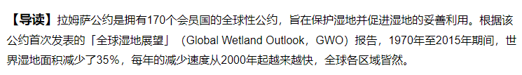 该死的，一整年的眼泪又被它提前透支