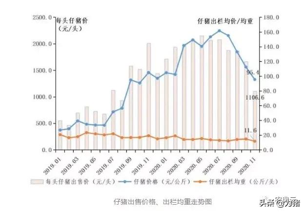 最新！自繁自养头均盈利1538元，仔猪价格每头降至1106元