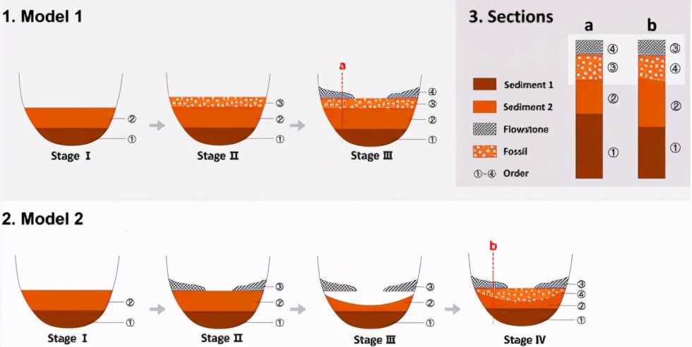 中國人獨立起源，不是非洲？最新證據：現代人來華南不超6萬年