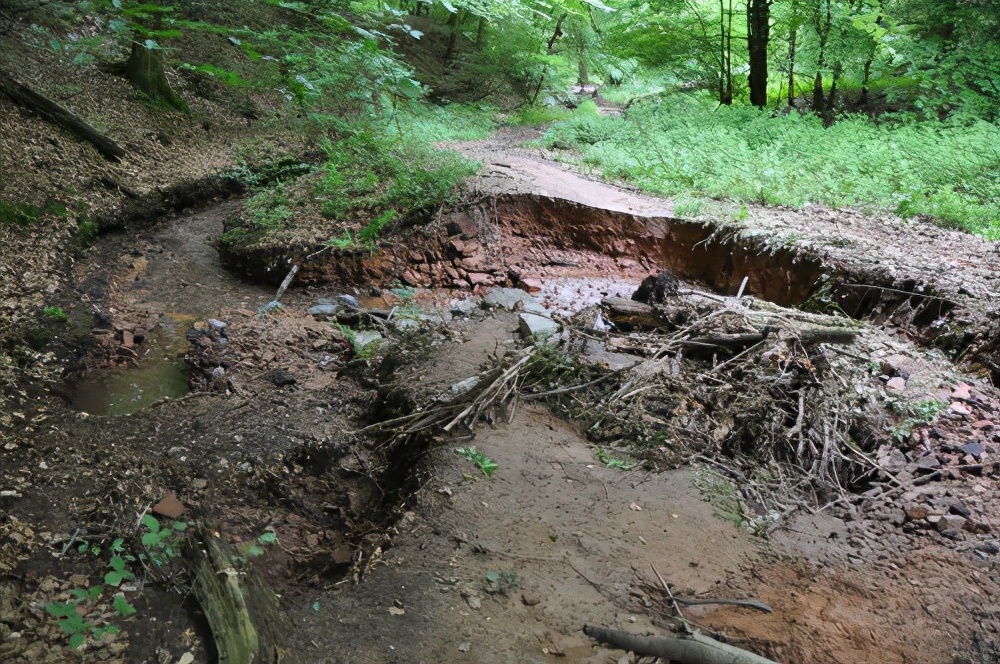 德国UNESCO世界地质公园里的童话小径：儿童探索自然天堂