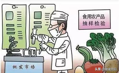 健康知識普及行動系列科普知識講座之合理膳食篇