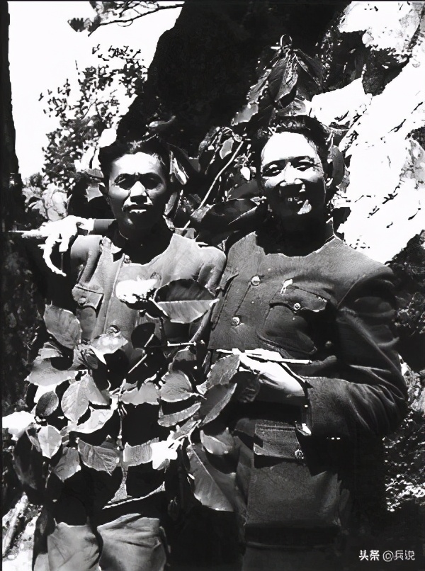 上甘岭接力，“皮老虎”打残“纸老虎”，美军