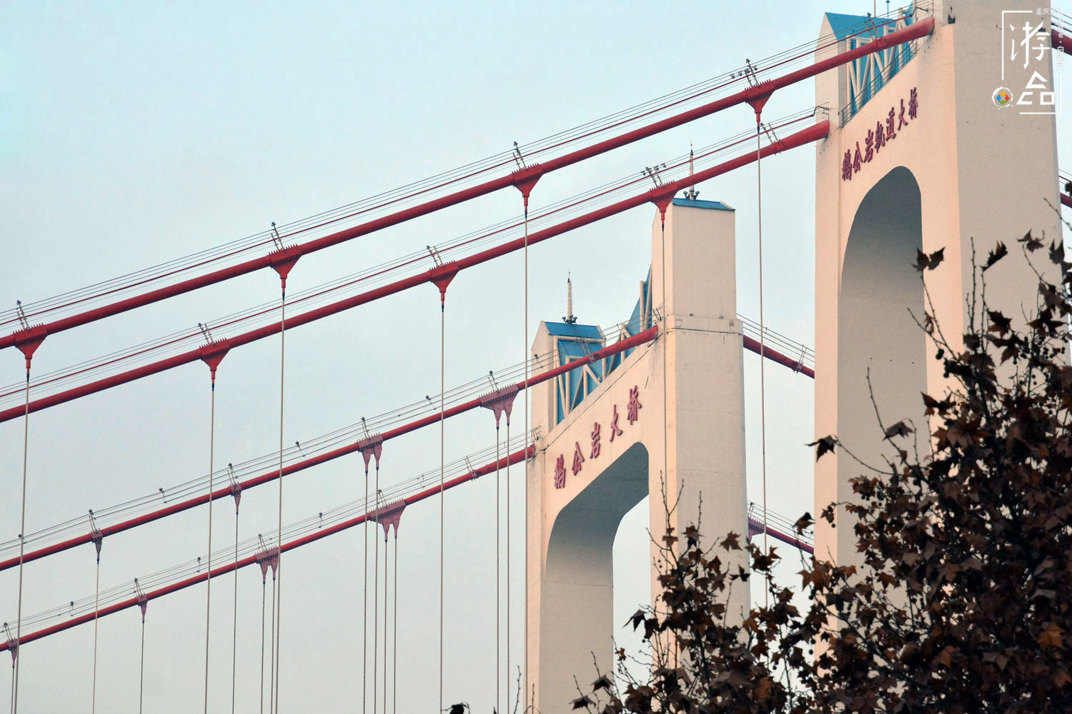漫游山城：重庆的两对双胞胎大桥，人气差异大，还要分“公母”