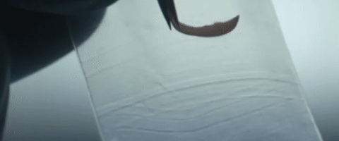 这部全是神反转奇案的解剖纪录片，堪称法医入坑神作