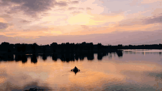 母親的性格，是一個家庭最好的風水