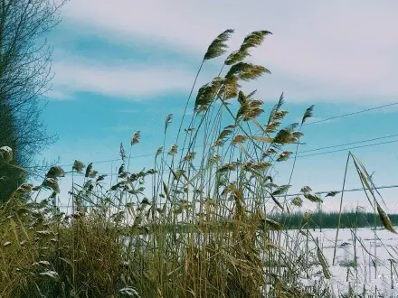伊犁喀拉峻，这一抹令人沉醉的蓝色