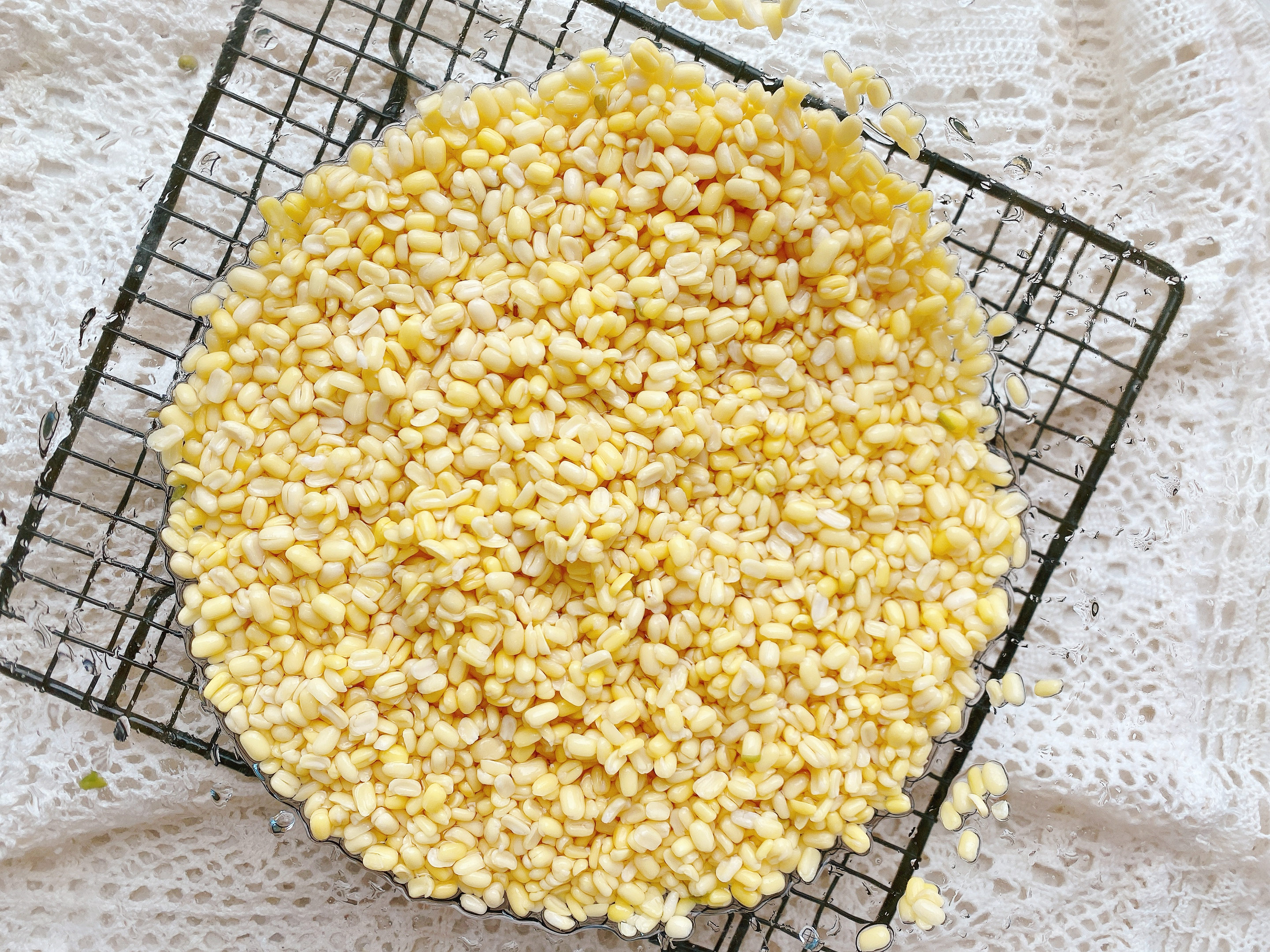 天熱了試試做綠豆糕，具體比例和方法在這裡，清熱解暑，入口即化